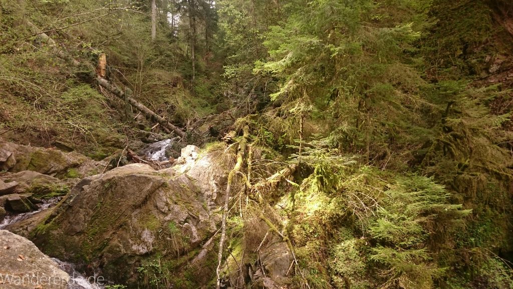 Lotenbachklamm bei der Schattenmühle, in der Klamm umgestürzter Baum, Wasser, Wasserfall, riesige Steine