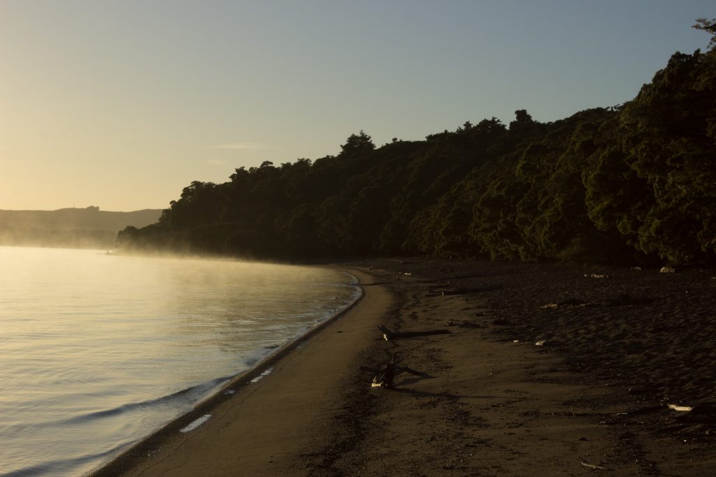 Wanderung Kepler Track - Great Walk, Wanderweg bei Bucht Brod Bay Campingplatz am schönen See Te Anau, herrliche Aussicht auf schönen See und Wald am anderen Ufer, dunkelblauer See, herrlicher Sommertag in Neuseeland Südinsel, Fiordland National Park, Wandertag beim Kepler Track
