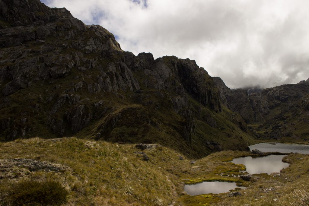 Wanderung Routeburn Track - Great Walk im Fiordland Nationalpark Südinsel Neuseeland, Wanderweg Routeburn im Fiordland Nationalpark, beeindruckende Berge mit schneebedeckten Gipfeln über der Baumgrenze, herrlicher Sommertag auf Südinsel Neuseelands, traumhafte Wanderung, raues Gebirgsklima, lebensfeindlich und doch wunderschön, beeindruckend, viele kleine Gebirgsseen