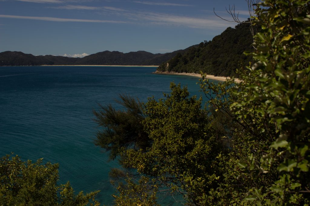 Wanderung Abel Tasman Coast Track Great Walk Südinsel Neuseeland, Aussicht auf traumhafte, sichelförmige Bucht mit blaugrünem klarem frischem Wasser und dichtem grünem Wald, Sonnenschein, Palmen und Farne, goldener Sandstrand