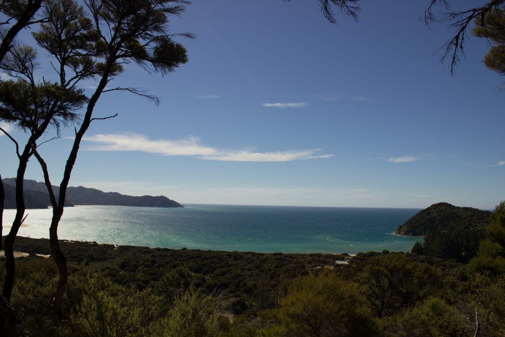 Wanderung Abel Tasman Coast Track Great Walk Südinsel Neuseeland, Aussicht auf traumhafte, sichelförmige Bucht mit blaugrünem klarem frischem Wasser und dichtem grünem Wald, Sonnenschein, Palmen und Farne, goldener Sandstrand