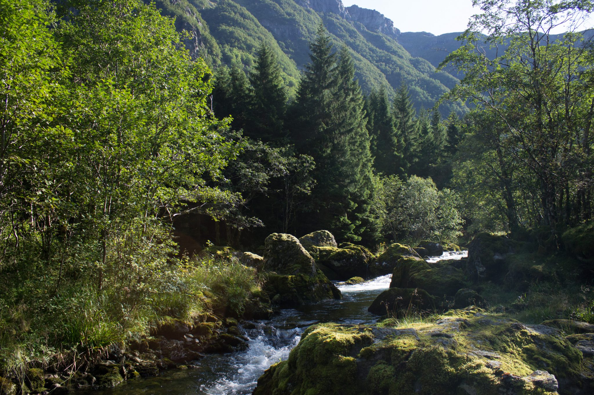 Wanderung vom Ort Sundal bis zum Gletscher Bondhusbreen im Folgefonna Nationalpark, traumhafte Bergkulisse, kristallklares Wasser im Fluß, mit Moos bewachsene Steine, Farne, saftig grünes Gras, umgeben von zauberhaftem Wald