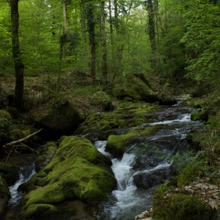 Panoramaweg Baden-Baden – Abschnitt Geroldsauer Tal, schönes,idyllisches Tal mit tollem Wasserfall, umringt von Wald und unzähligen Rhododendron, Natur Pfad auf beiden Seiten entlang des Tals