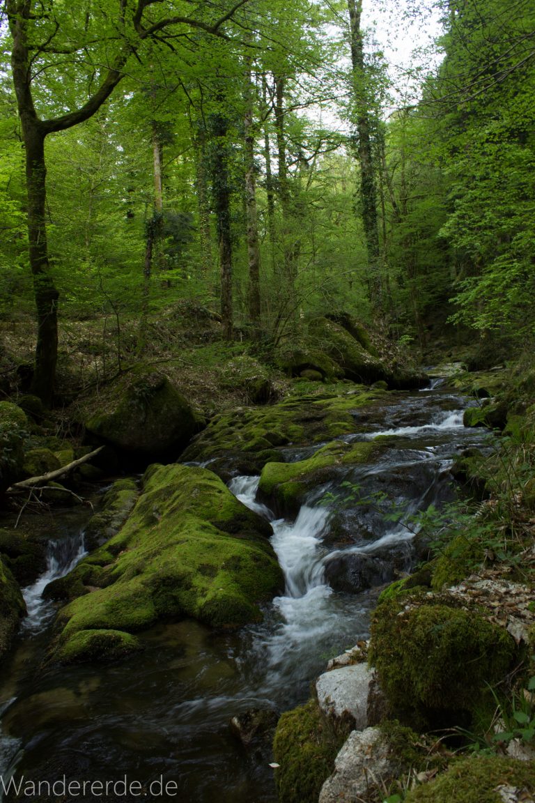 Panoramaweg Baden-Baden – Abschnitt Geroldsauer Tal, schönes,idyllisches Tal mit tollem Wasserfall, umringt von Wald und unzähligen Rhododendron, Natur Pfad auf beiden Seiten entlang des Tals