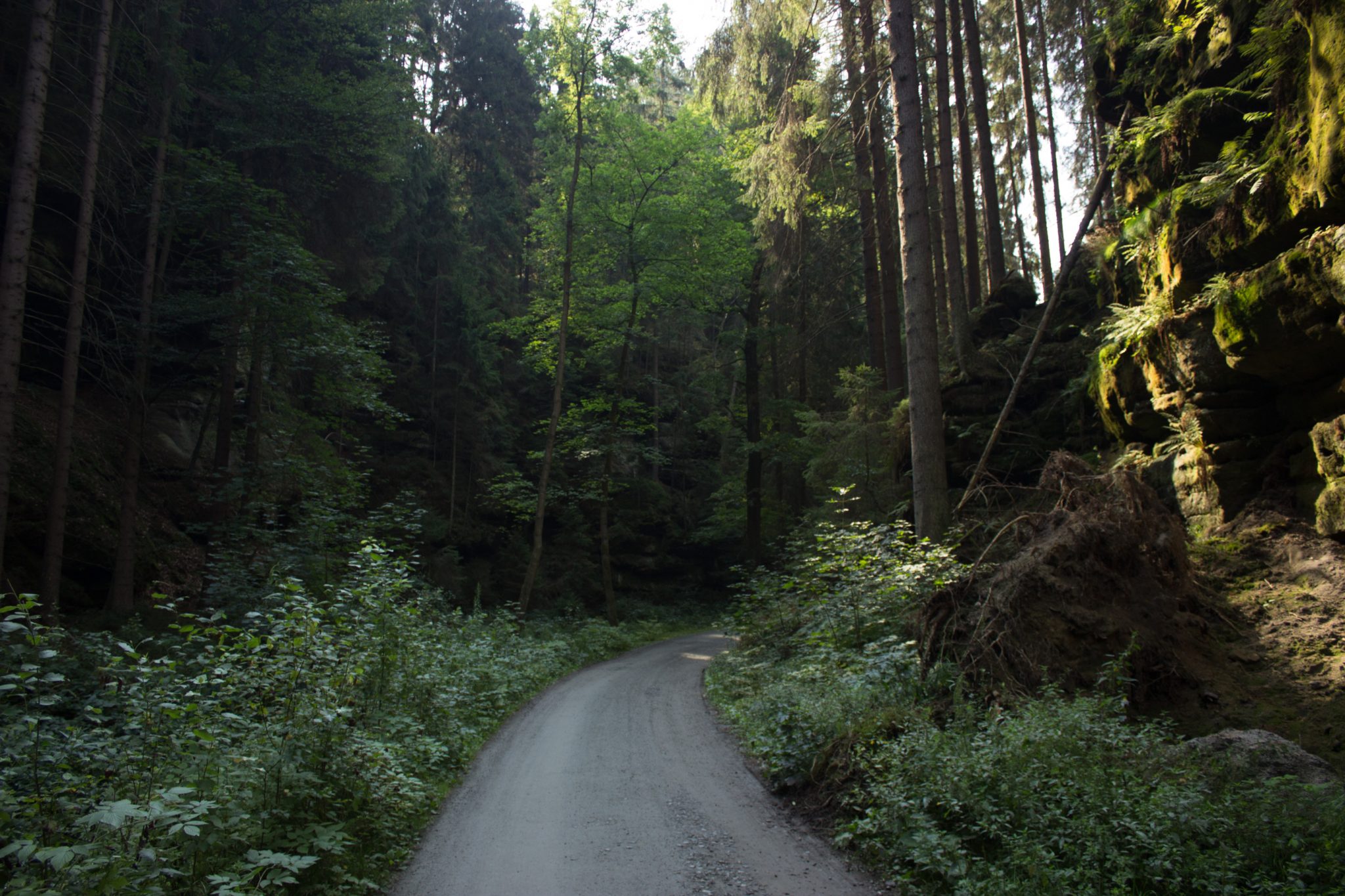 Zeughaus Hickelhöhle und Großer Reitsteig - im Kirnitzschtal wandern, Wanderweg im Wanderparadies Sächsische Schweiz mit vielen tollen Aussichten, riesiger Felsennationalpark, breiterer Wegabschnitt beim großen Zschand