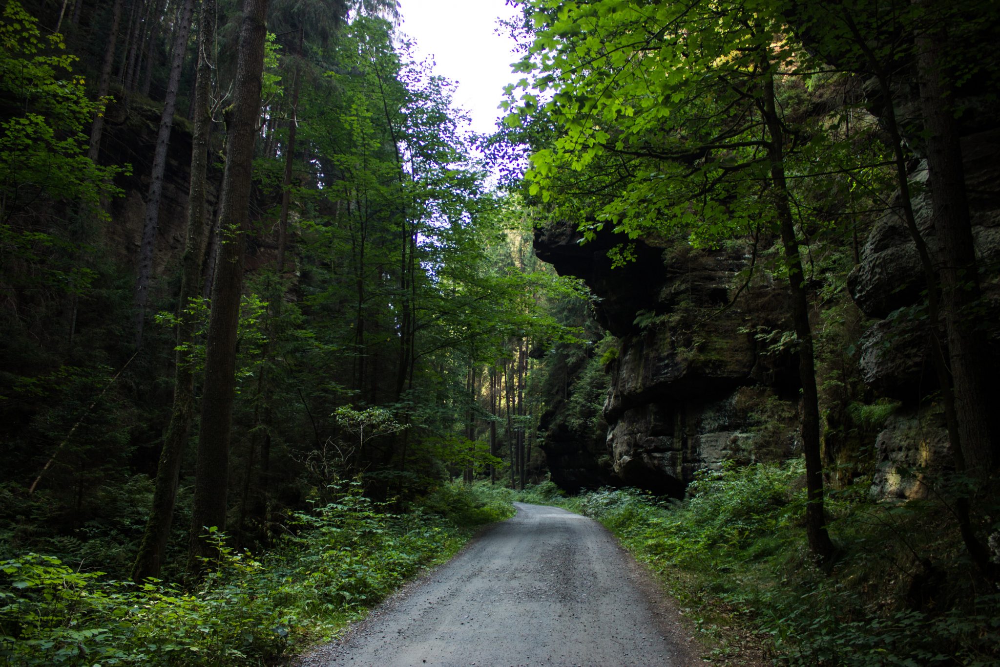 Zeughaus Hickelhöhle und Großer Reitsteig - im Kirnitzschtal wandern, Wanderweg im Wanderparadies Sächsische Schweiz mit vielen tollen Aussichten, riesiger Felsennationalpark