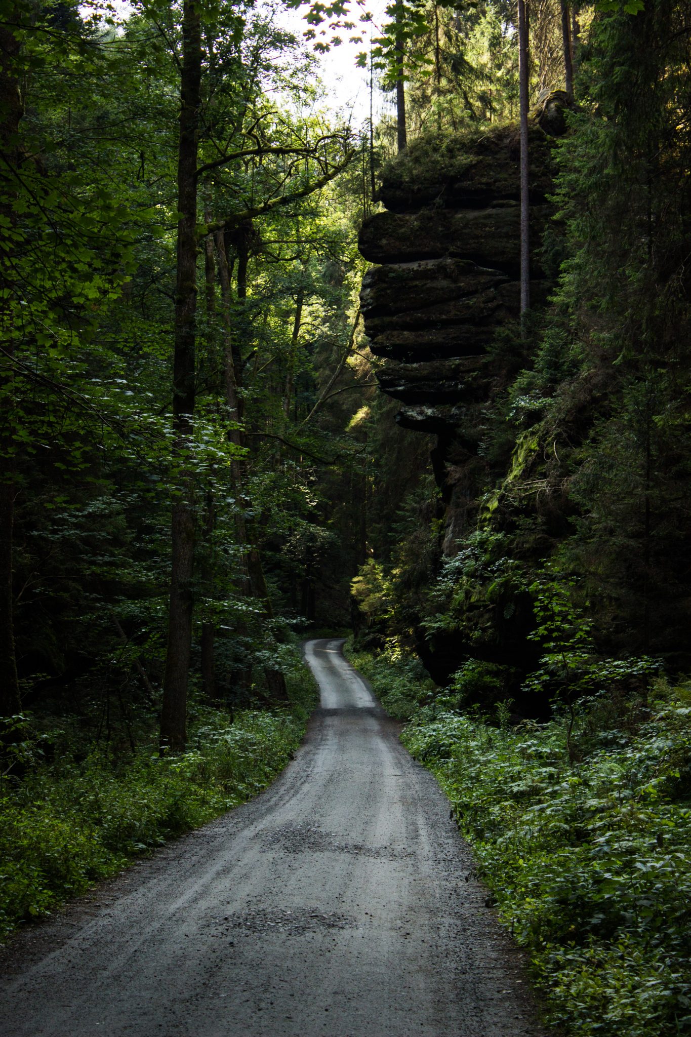 Zeughaus Roß- und Goldsteig Richterschlüchte im Kirnitzschtal wandern, Wanderweg im Wanderparadies Sächsische Schweiz mit vielen tollen Aussichten, riesiger Felsennationalpark, breiterer Wegabschnitt