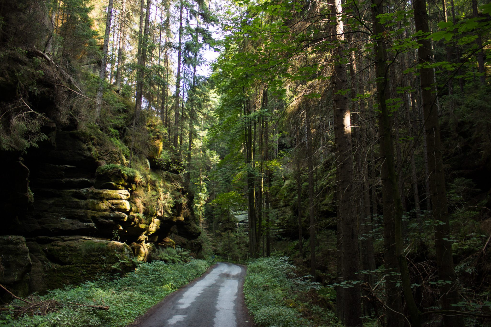 Zeughaus Hickelhöhle und Großer Reitsteig - im Kirnitzschtal wandern, Wanderweg im Wanderparadies Sächsische Schweiz mit vielen tollen Aussichten, riesiger Felsennationalpark