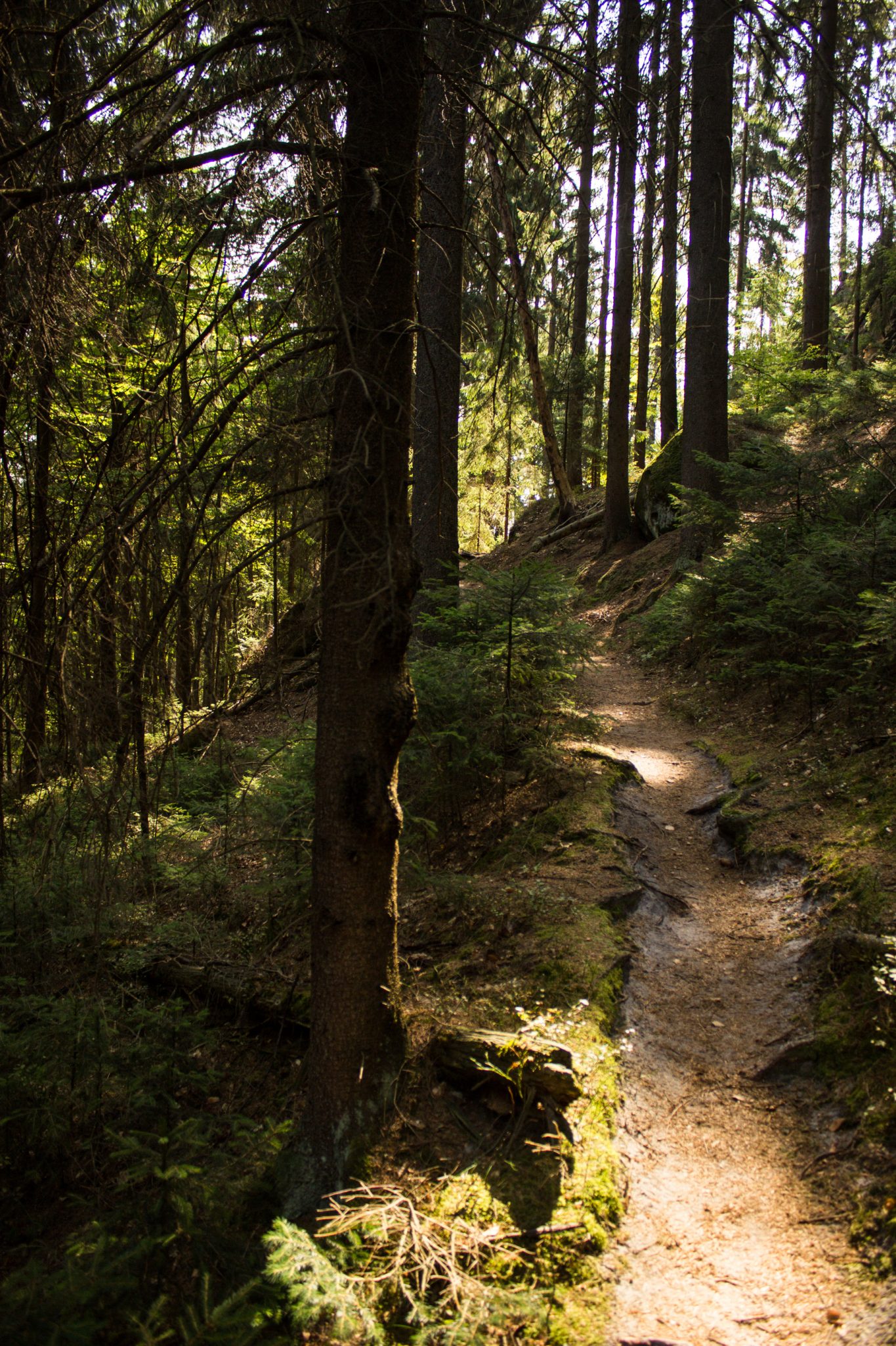 Zeughaus Roß- und Goldsteig Richterschlüchte im Kirnitzschtal wandern, Wanderweg im Wanderparadies Sächsische Schweiz mit vielen tollen Aussichten, riesiger Felsennationalpark, oft sind viele Höhenmeter zu überwinden