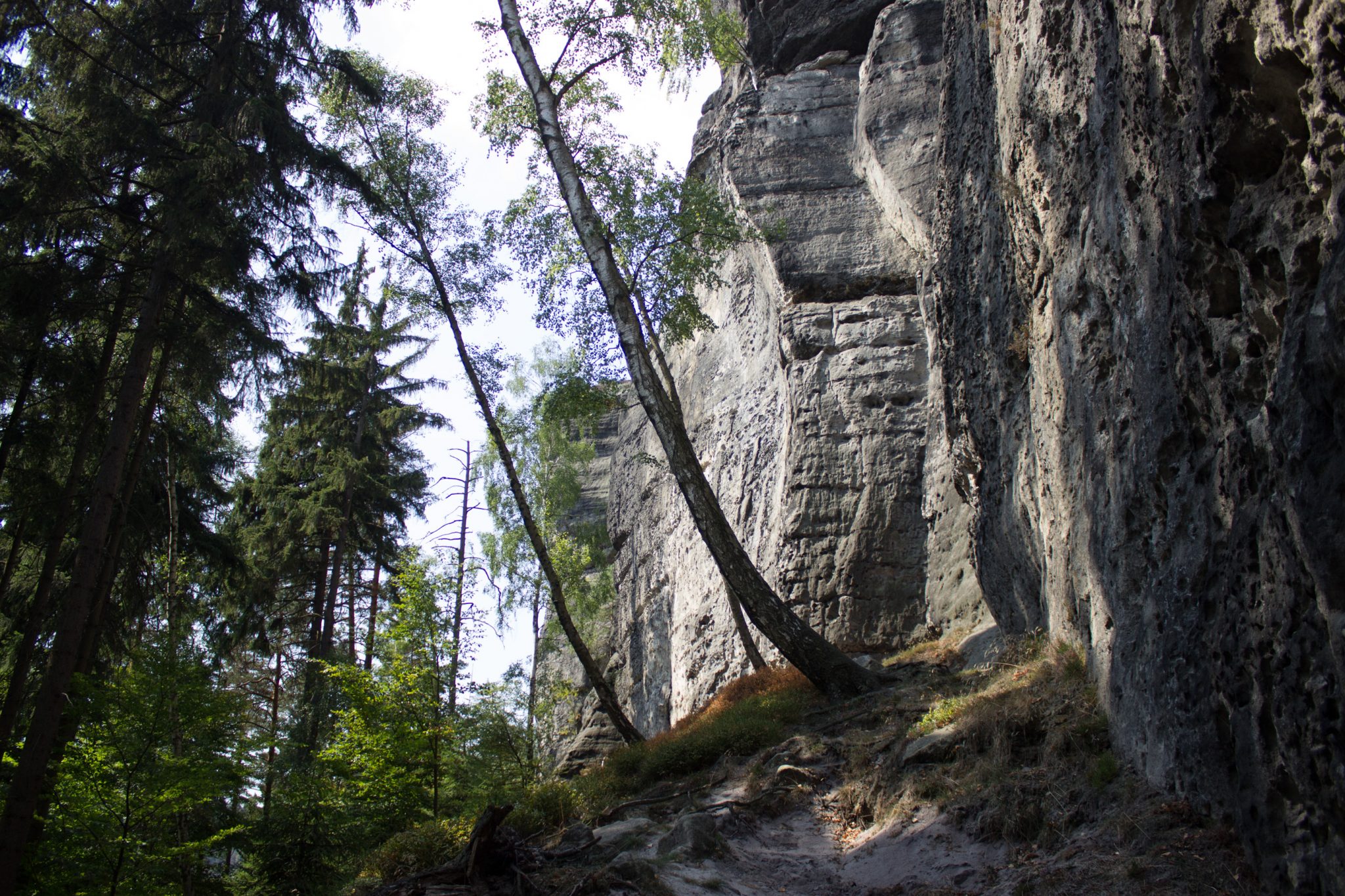Zeughaus Roß- und Goldsteig Richterschlüchte im Kirnitzschtal wandern, Wanderweg im Wanderparadies Sächsische Schweiz mit vielen tollen Aussichten, riesiger Felsennationalpark, Weg direkt an den Felsen entlang