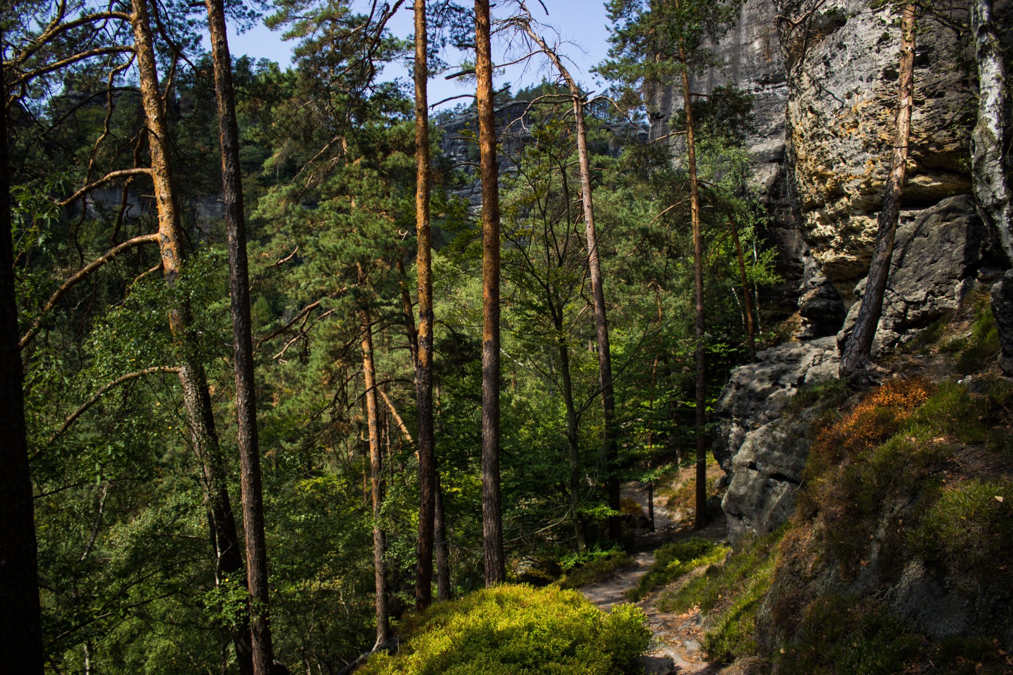 Zeughaus Roß- und Goldsteig Richterschlüchte im Kirnitzschtal wandern, Wanderweg im Wanderparadies Sächsische Schweiz mit vielen tollen Aussichten, riesiger Felsennationalpark, immer abwechslungsreiche Wege