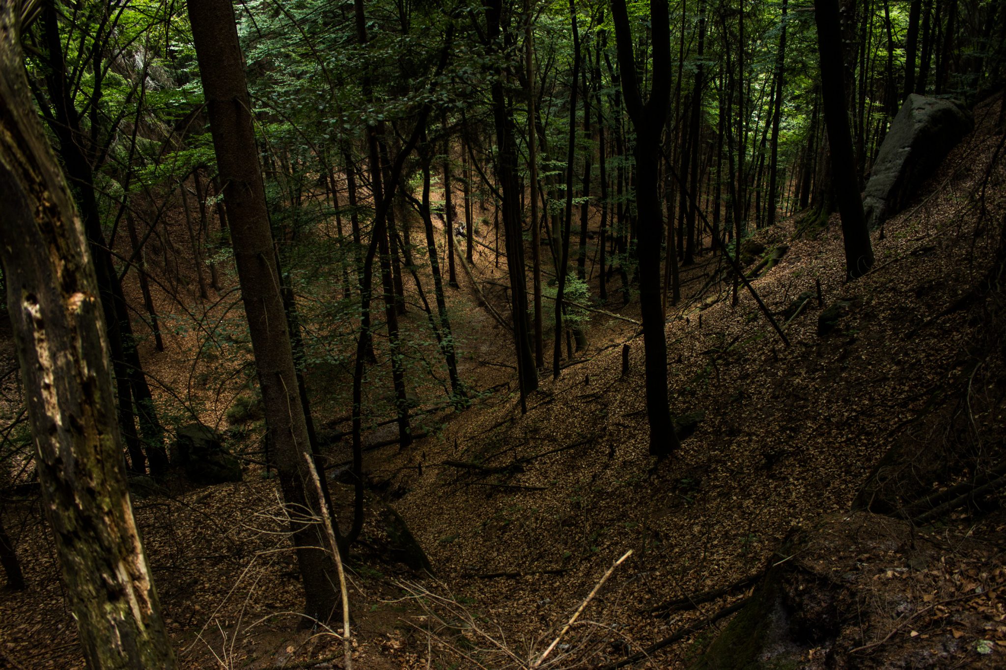 Zeughaus Roß- und Goldsteig Richterschlüchte im Kirnitzschtal wandern, Wanderweg im Wanderparadies Sächsische Schweiz mit vielen tollen Aussichten, riesiger Felsennationalpark