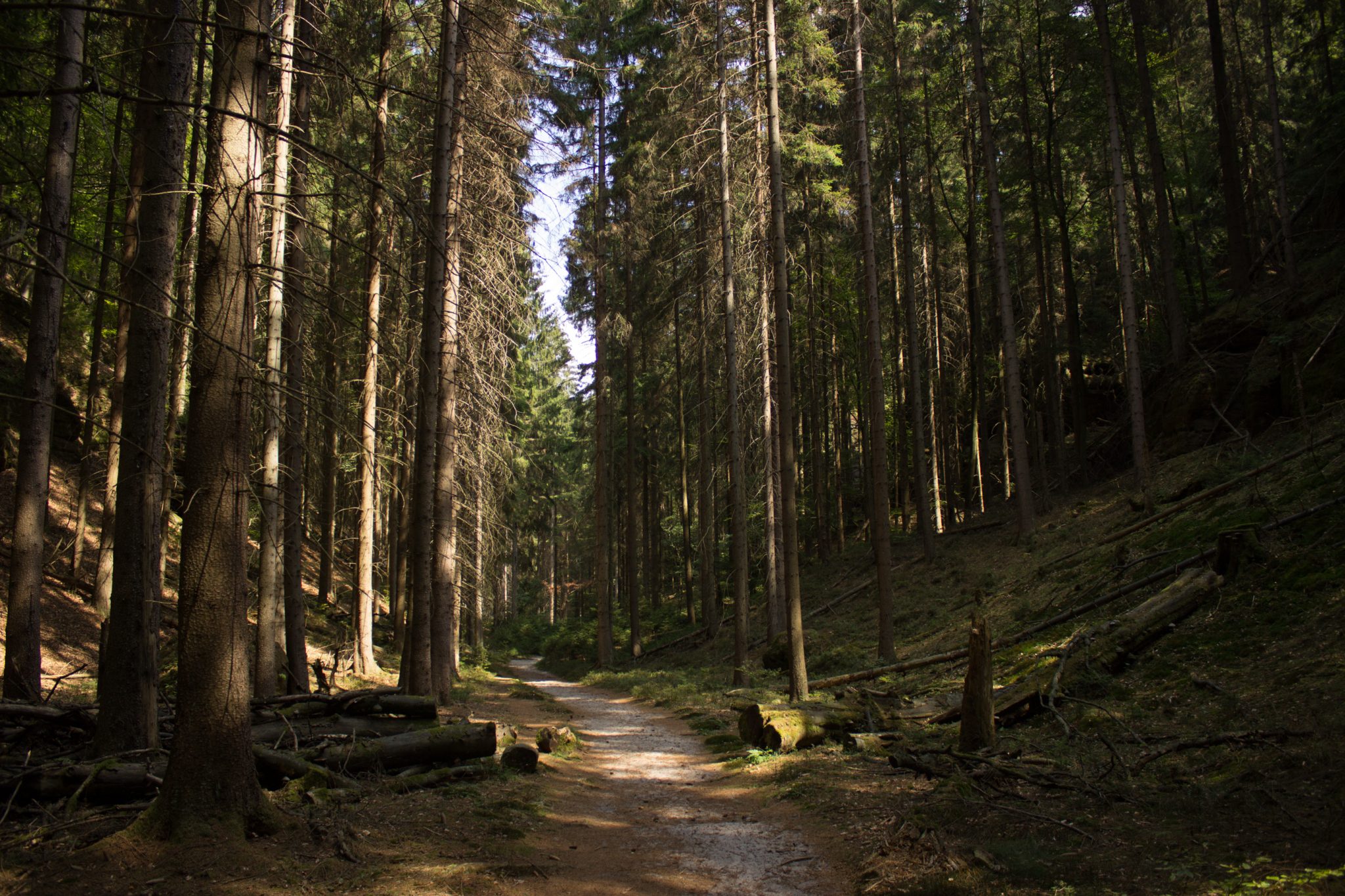 Zeughaus Roß- und Goldsteig Richterschlüchte im Kirnitzschtal wandern, Wanderweg im Wanderparadies Sächsische Schweiz mit vielen tollen Aussichten, riesiger Felsennationalpark