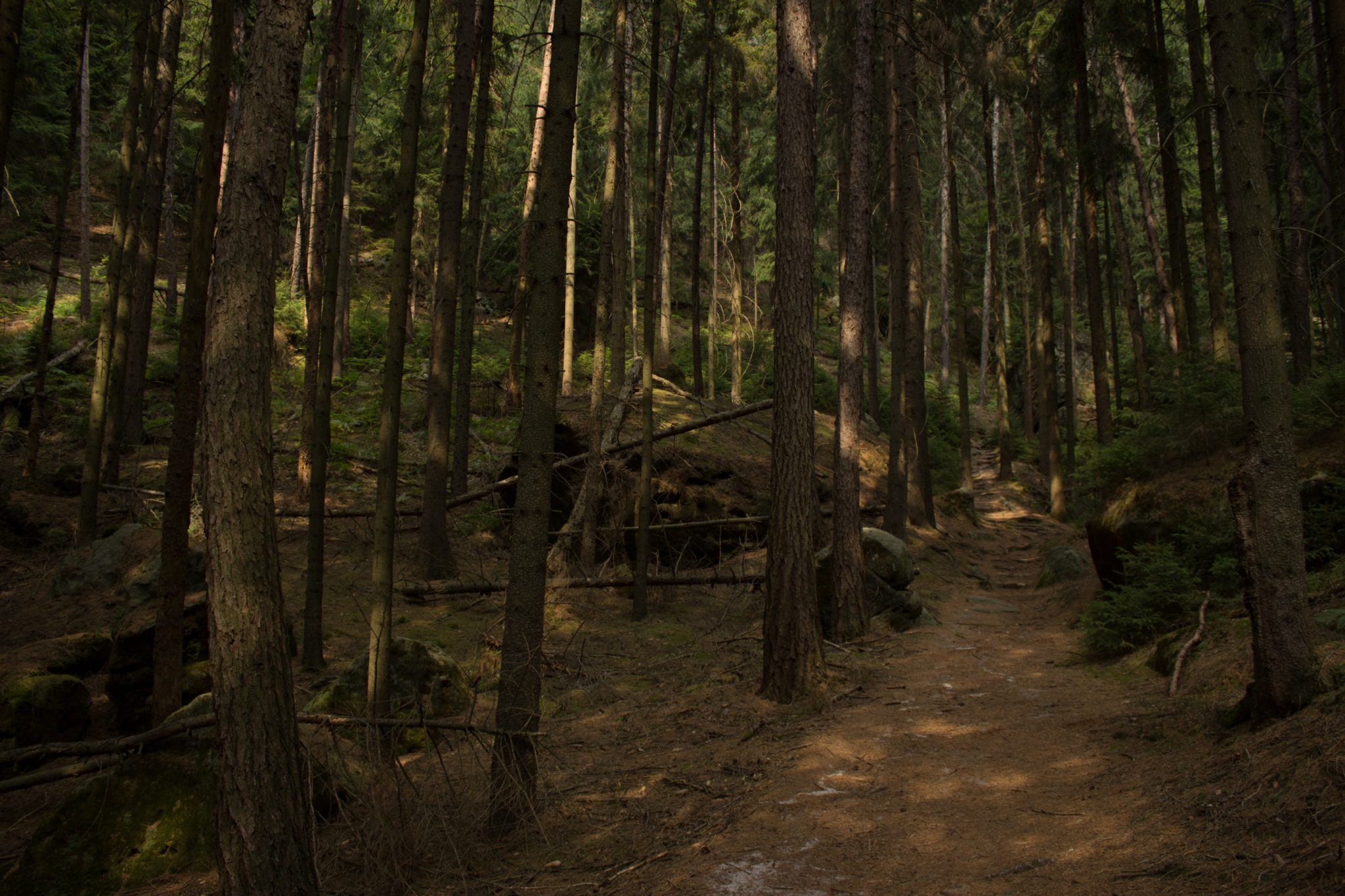Zeughaus Hickelhöhle und Großer Reitsteig - im Kirnitzschtal wandern, Wanderweg im Wanderparadies Sächsische Schweiz mit vielen tollen Aussichten, riesiger Felsennationalpark