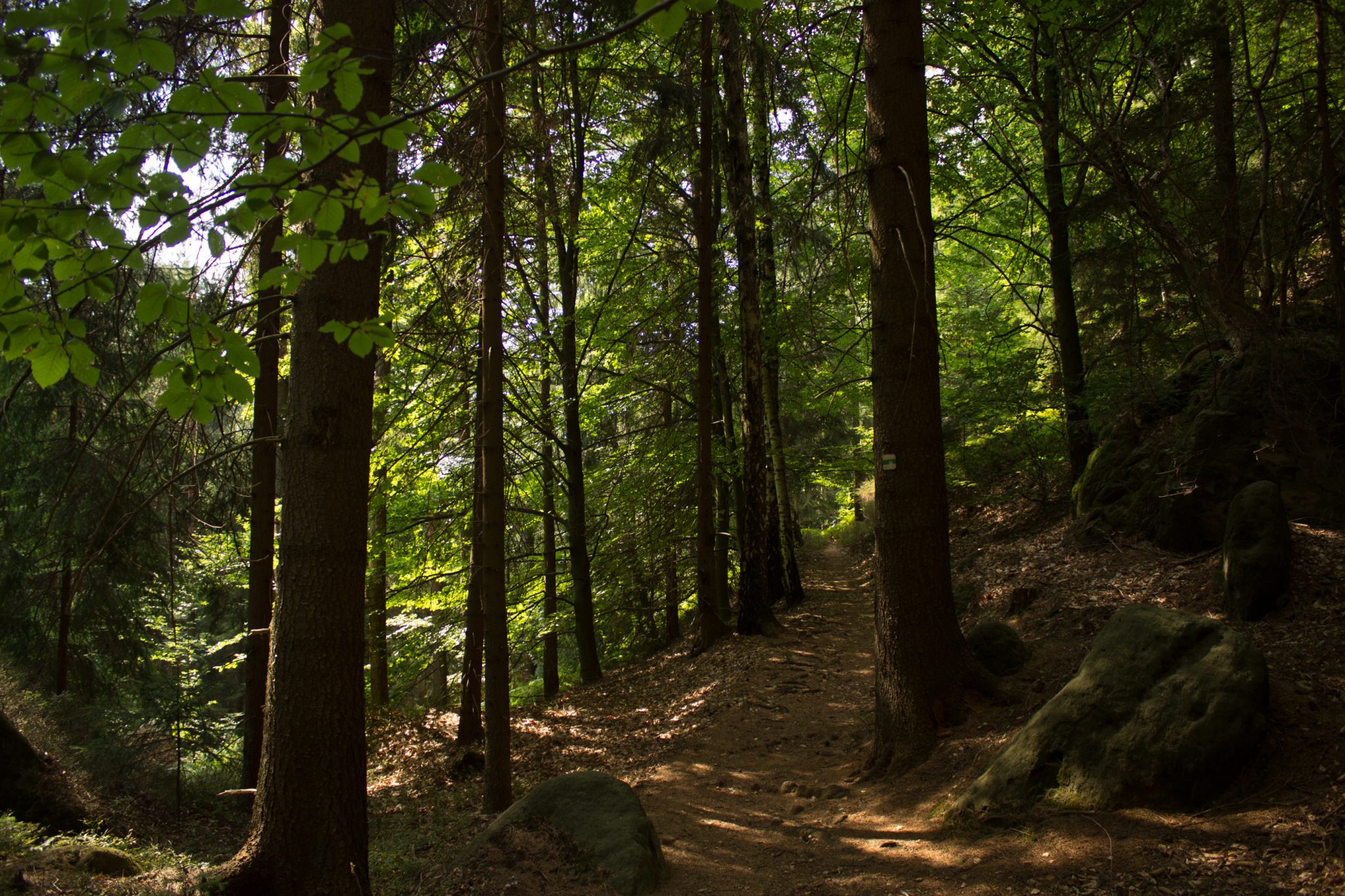 Zeughaus Hickelhöhle und Großer Reitsteig - im Kirnitzschtal wandern, Wanderweg im Wanderparadies Sächsische Schweiz mit vielen tollen Aussichten, riesiger Felsennationalpark