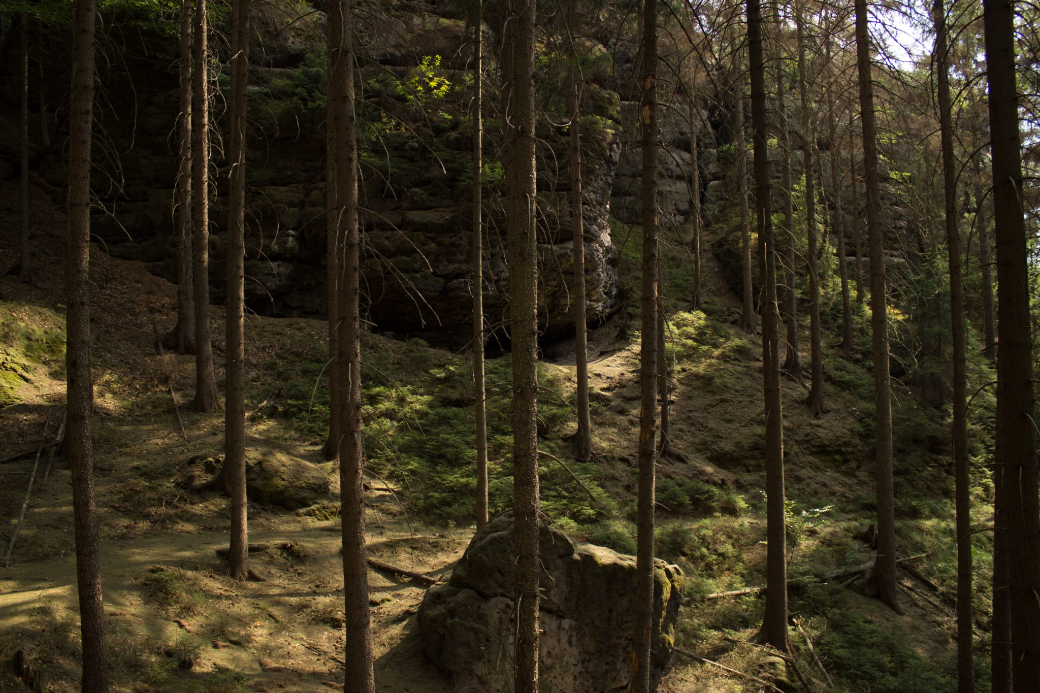 Zeughaus Hickelhöhle und Großer Reitsteig - im Kirnitzschtal wandern, Wanderweg im Wanderparadies Sächsische Schweiz mit vielen tollen Aussichten, riesiger Felsennationalpark
