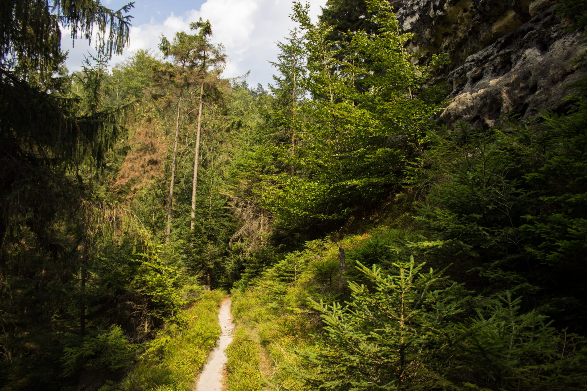 Zeughaus Hickelhöhle und Großer Reitsteig - im Kirnitzschtal wandern, Wanderweg im Wanderparadies Sächsische Schweiz mit vielen tollen Aussichten, riesiger Felsennationalpark