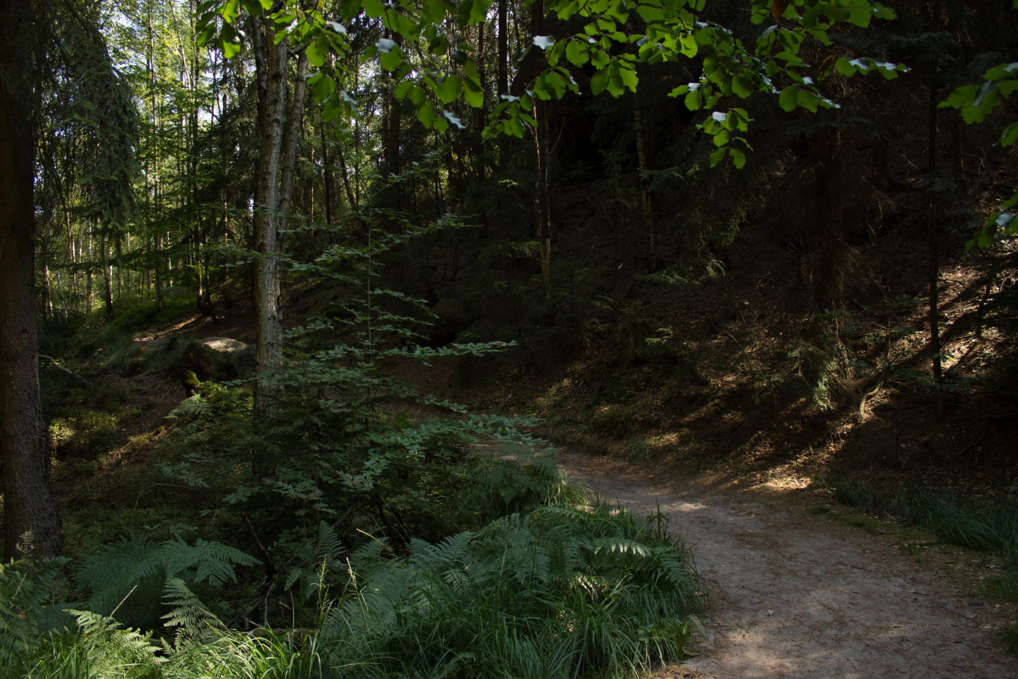 Hohe Liebe Schrammsteine Carolafelsen, Wanderweg im Wanderparadies Sächsische Schweiz mit vielen tollen Aussichten, riesiger Felsennationalpark, schöner Weg