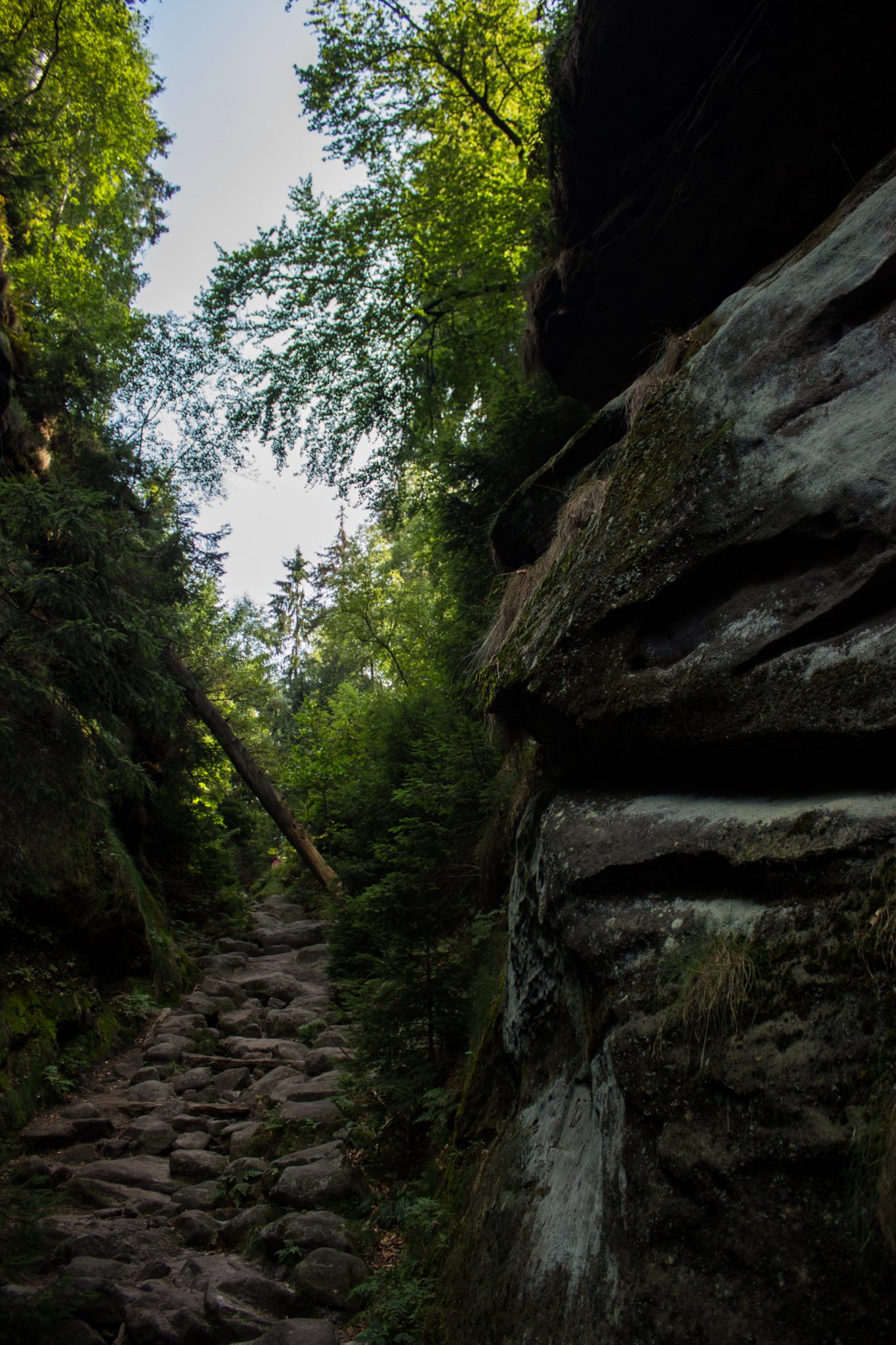 Hohe Liebe Schrammsteine Carolafelsen, Wanderweg im Wanderparadies Sächsische Schweiz mit vielen tollen Aussichten, riesiger Felsennationalpark, felsige naturbelassene Pfade