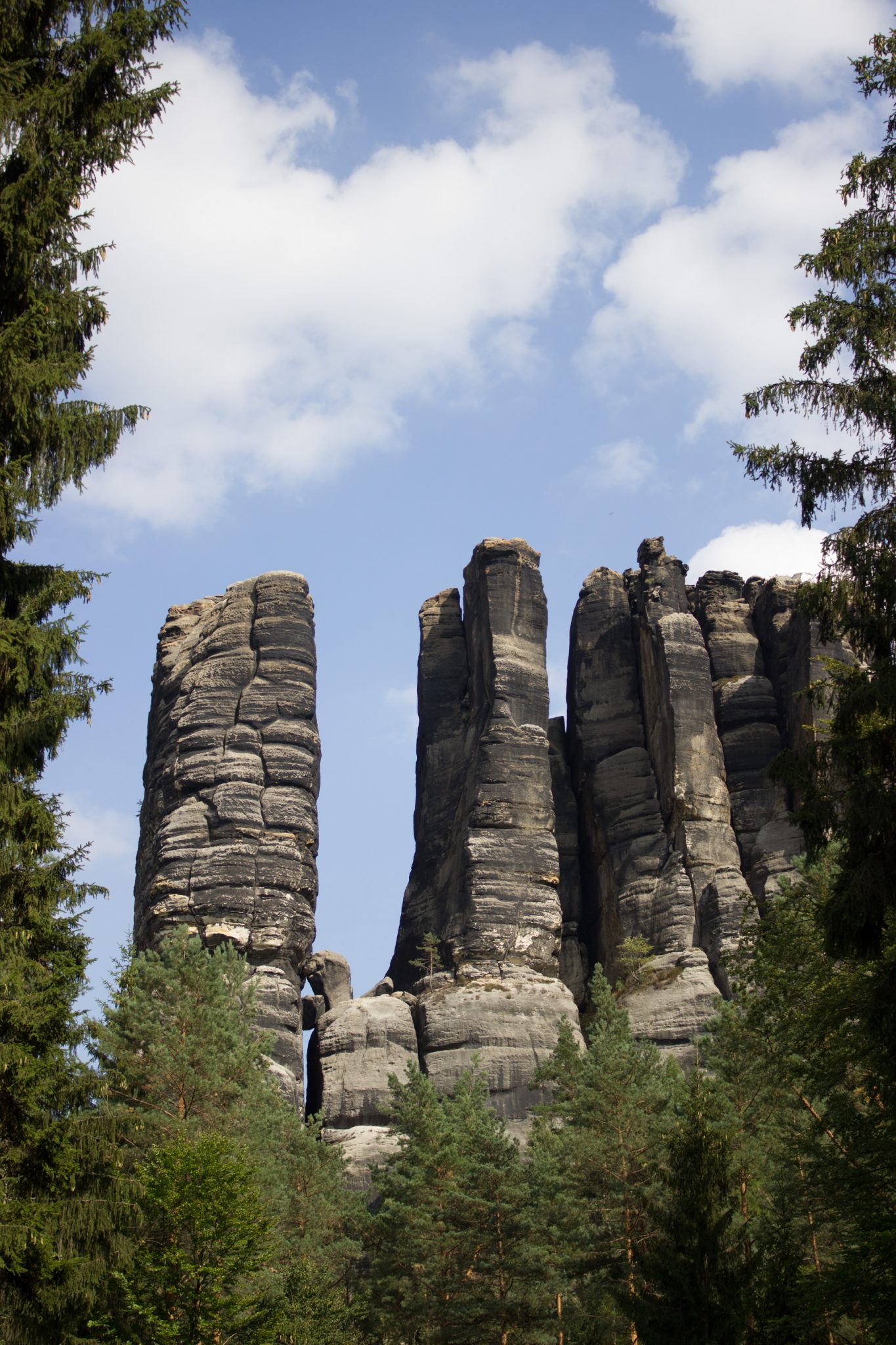 Affensteinweg Frienstein Carolafelsen und Wilde Hölle, Wanderweg im Wanderparadies Sächsische Schweiz mit vielen tollen Aussichten, riesiger Felsennationalpark, schöner Wald
