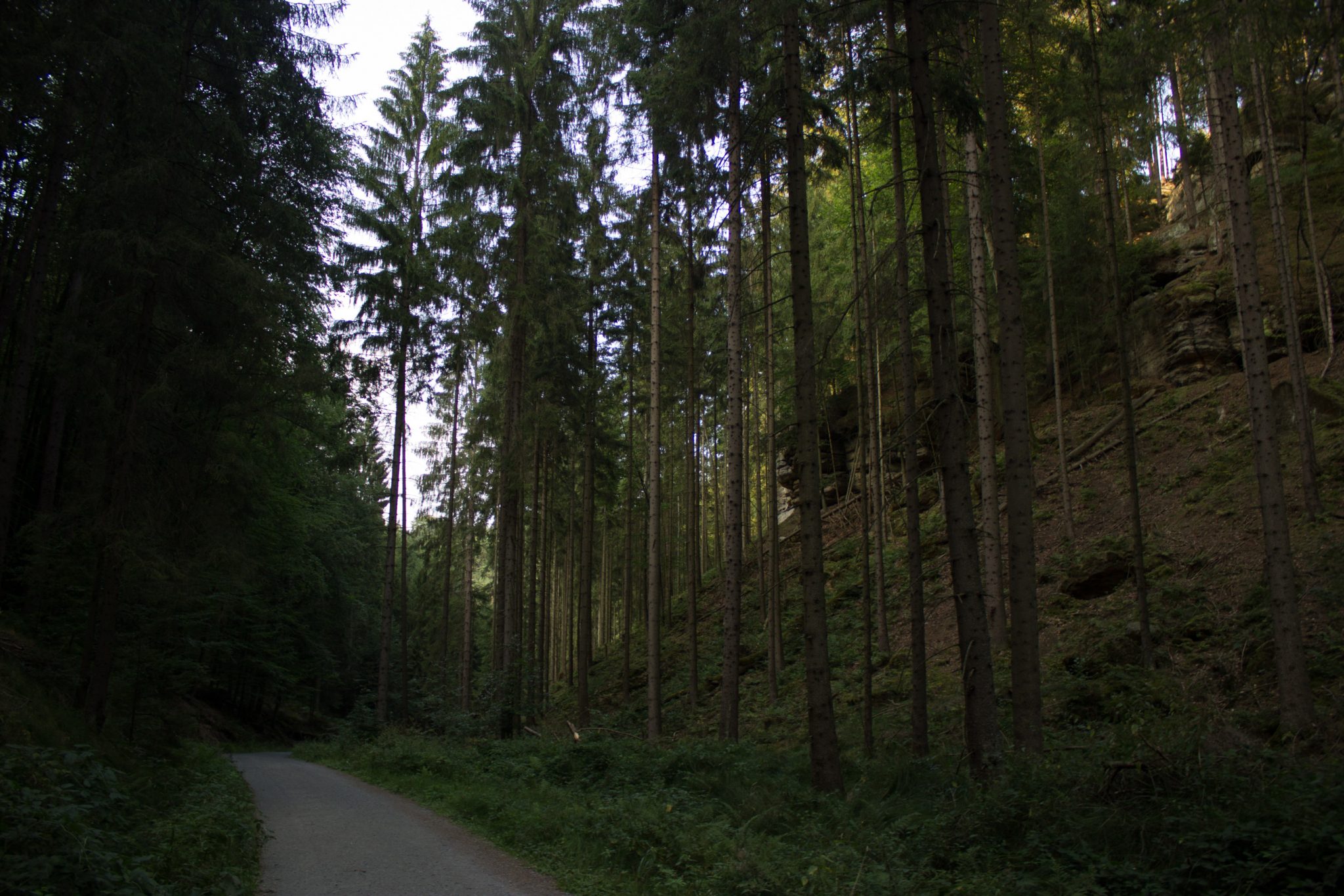 Hohe Liebe Schrammsteine Carolafelsen, Wanderweg im Wanderparadies Sächsische Schweiz mit vielen tollen Aussichten, riesiger Felsennationalpark