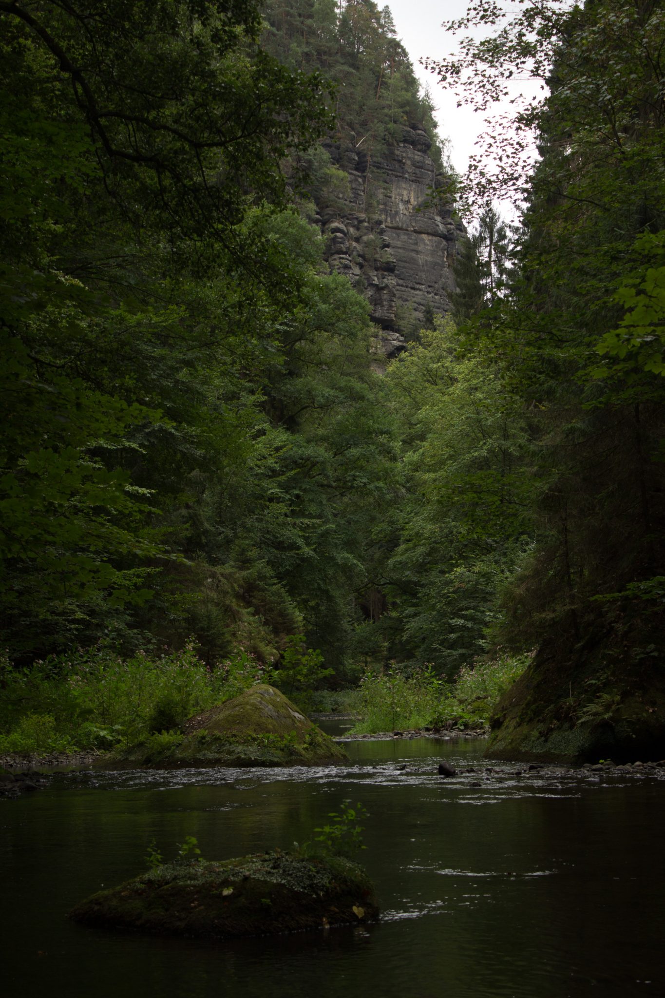 Wanderung durch Polenztal zur Bastei und zu Schwedenlöcher, Wanderweg im Polenztal, saftig grüner Wald, Weg neben Fluß Polenz, sehr hohe Felsen spenden Schatten im Tal