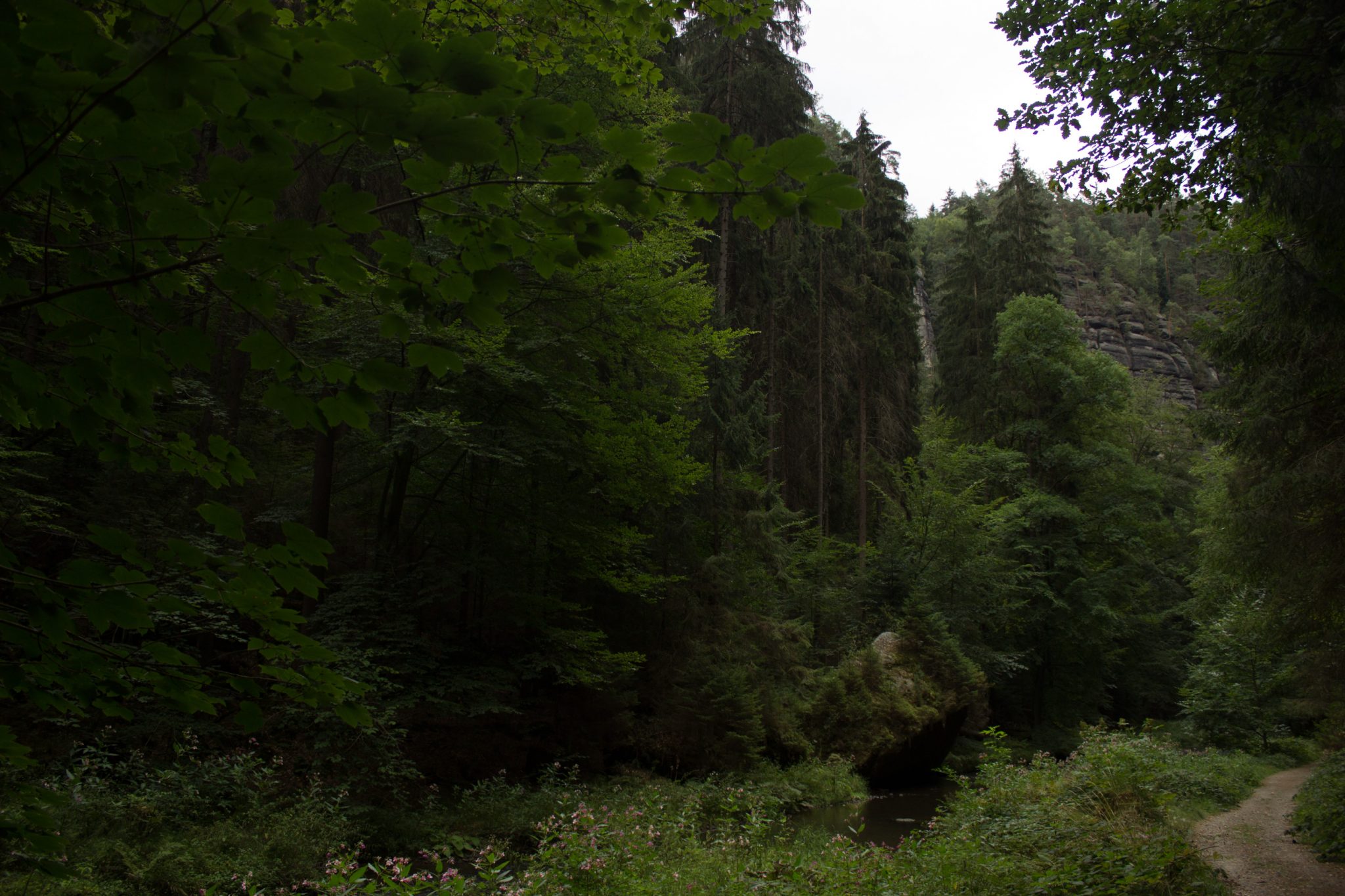 Wanderung durch Polenztal zur Bastei und zu Schwedenlöcher, Wanderweg im Polenztal, saftig grüner Wald, schmaler Pfad neben Fluß Polenz, hohe Felsen