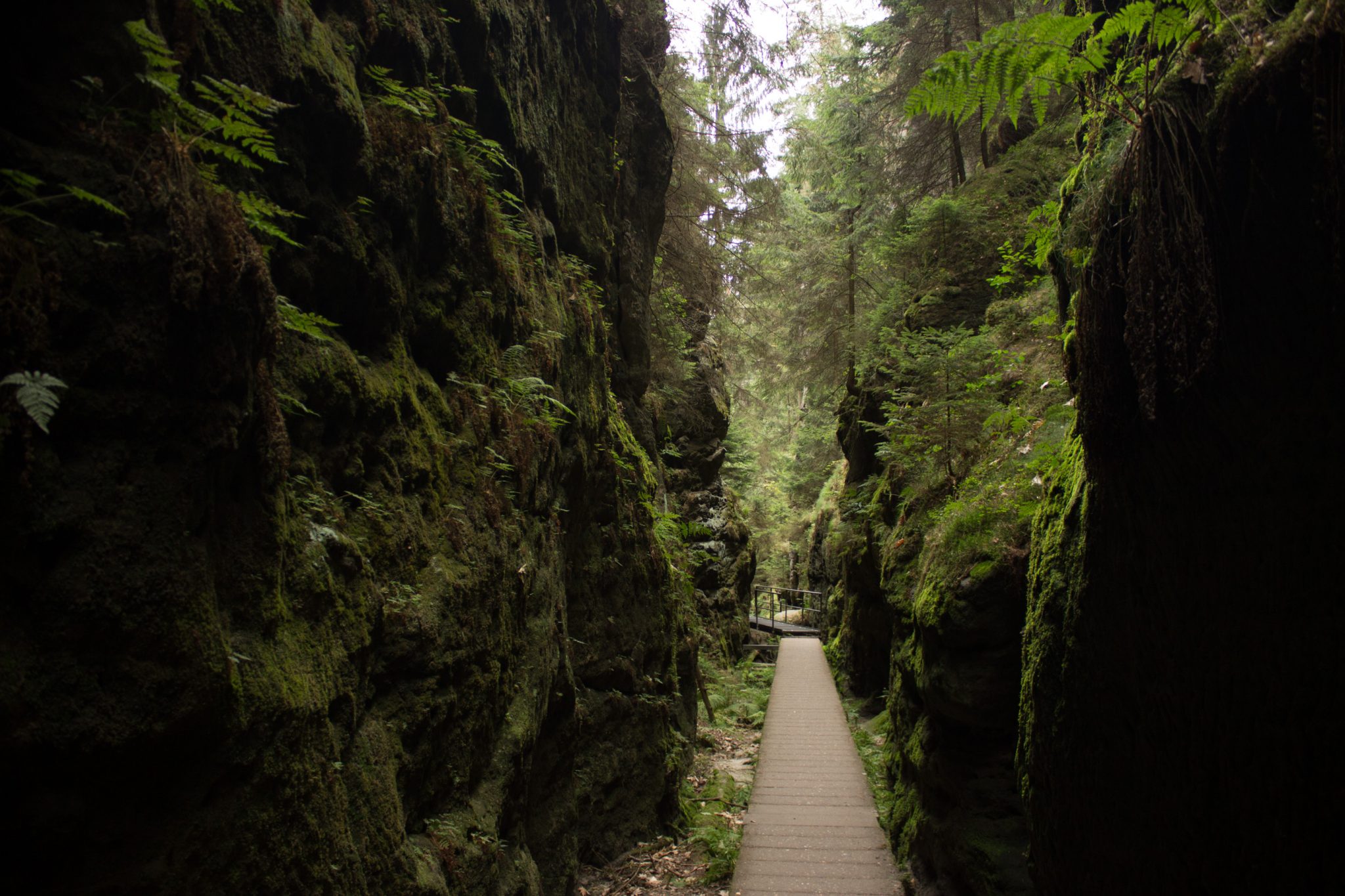 Wanderung durch Polenztal zur Bastei und zu Schwedenlöcher, Wanderweg durch die Schwedenlöcher, schmale Pfade entlang moosbewachsener Felsen, steile und schmale Treppen durch schönen Wald