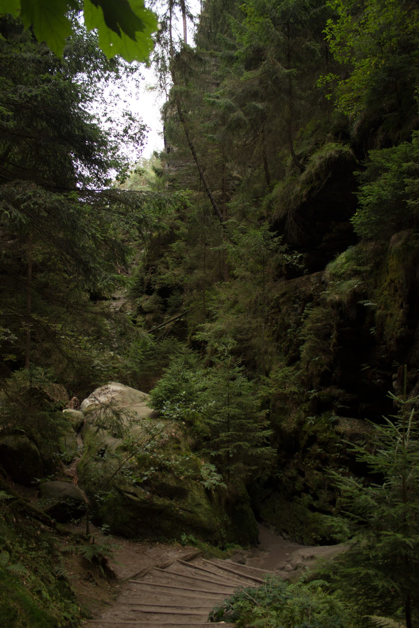 Wanderung durch Polenztal zur Bastei und zu Schwedenlöcher, Wanderweg durch die Schwedenlöcher, schmale Pfade entlang moosbewachsener Felsen, steile und schmale Treppen durch schönen Wald