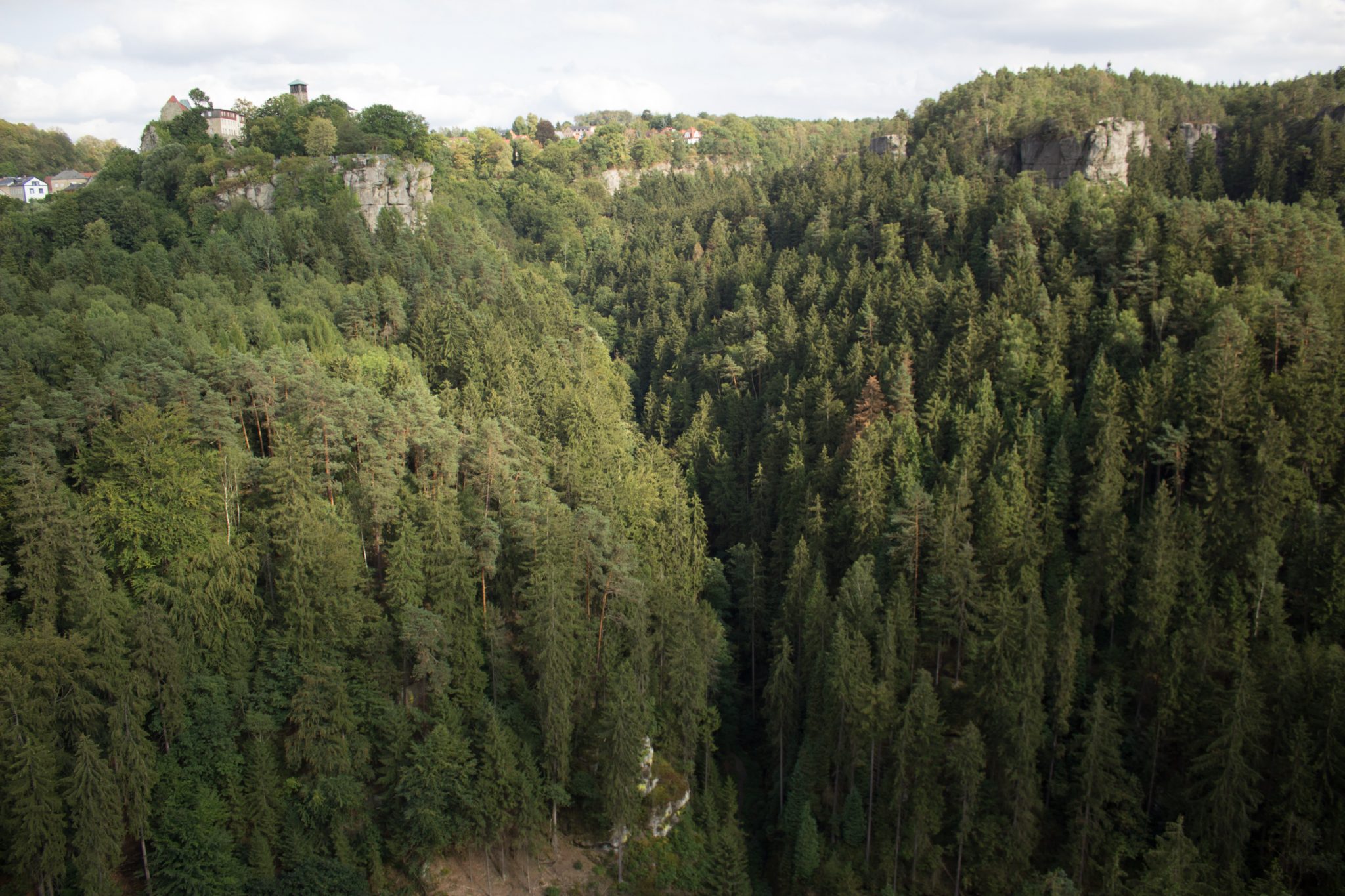 Wanderung durch Polenztal zur Bastei und zu Schwedenlöcher, Aussicht auf das schöne Polenztal und bis nach Hohnstein von Aussichtspunkt Hockstein
