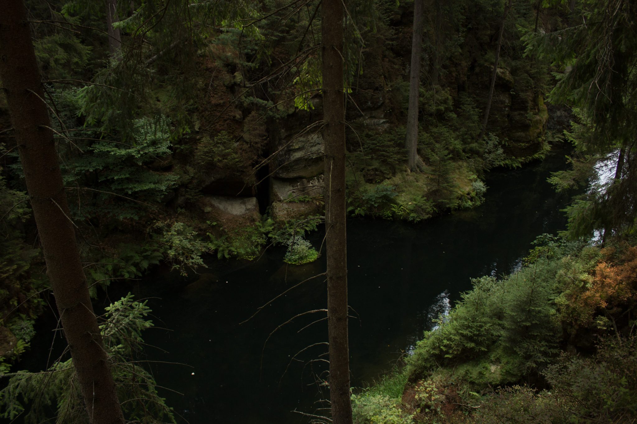 Kirnitzschklamm Hermanseck und Königsplatz im Kirnitzschtal wandern, Wanderweg im Wanderparadies Sächsische Schweiz mit vielen tollen Aussichten, riesiger Felsennationalpark, Blick in die Kirnitzschklamm vom Wanderweg aus