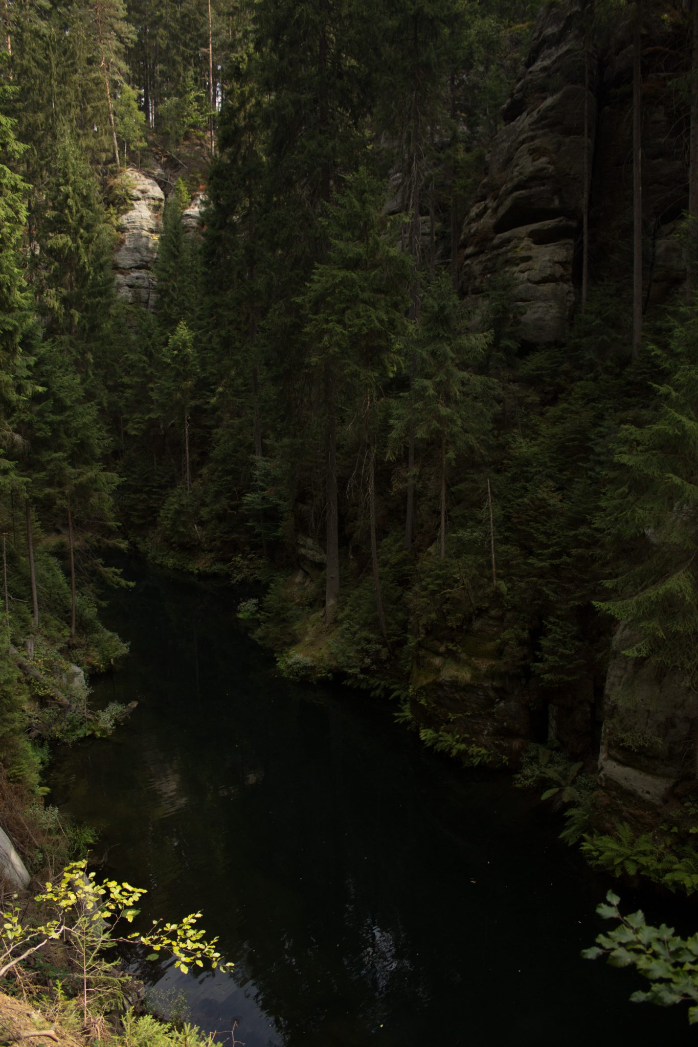 Kirnitzschklamm Hermanseck und Königsplatz im Kirnitzschtal wandern, Wanderweg im Wanderparadies Sächsische Schweiz mit vielen tollen Aussichten, riesiger Felsennationalpark, Blick in die Kirnitzschklamm vom Wanderweg aus