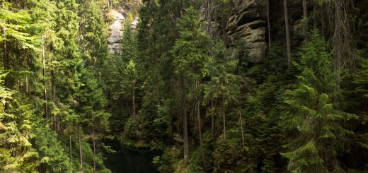 Kirnitzschklamm Hermanseck und Königsplatz im Kirnitzschtal wandern, Aussicht auf die Kirnitschklamm, saftig und grüne Landschaft, Wanderweg im Wanderparadies Sächsische Schweiz mit vielen tollen Aussichten, riesiger Felsennationalpark