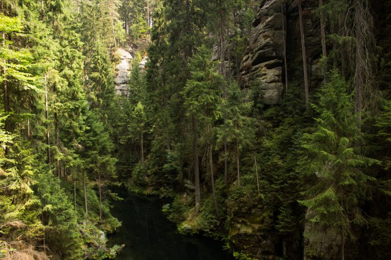 Kirnitzschklamm Hermanseck und Königsplatz im Kirnitzschtal wandern, Aussicht auf die Kirnitschklamm, saftig und grüne Landschaft, Wanderweg im Wanderparadies Sächsische Schweiz mit vielen tollen Aussichten, riesiger Felsennationalpark