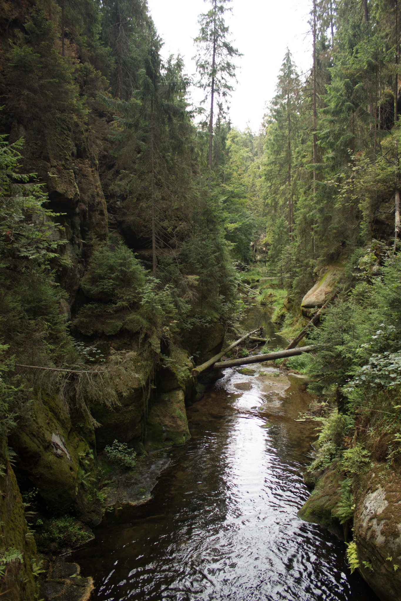 Kirnitzschklamm Hermanseck und Königsplatz im Kirnitzschtal wandern, Wanderweg im Wanderparadies Sächsische Schweiz mit vielen tollen Aussichten, riesiger Felsennationalpark, Blick in die Kirnitzschklamm vom Wanderweg aus