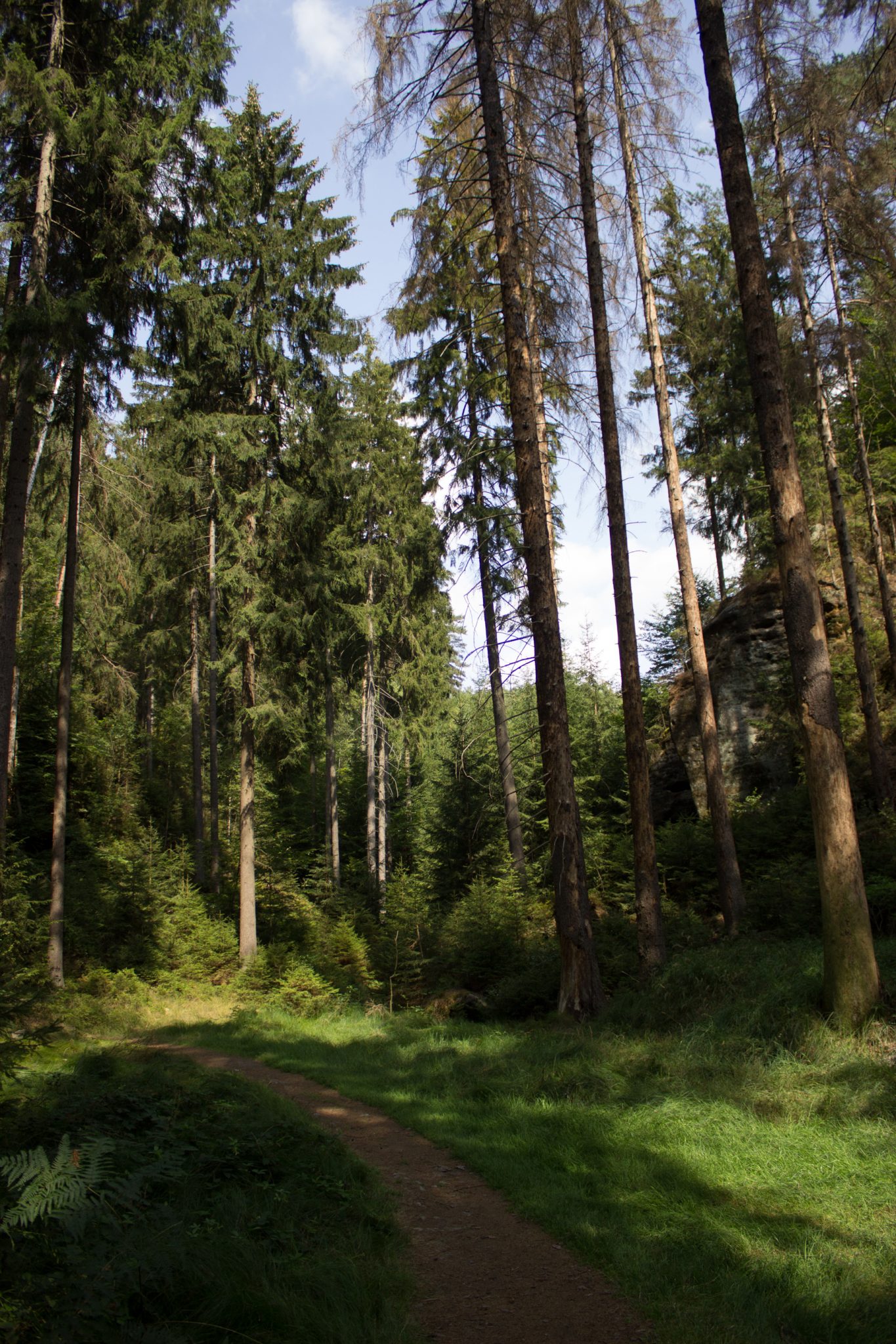 Kirnitzschklamm Hermanseck und Königsplatz im Kirnitzschtal wandern, Wanderweg im Wanderparadies Sächsische Schweiz mit vielen tollen Aussichten, riesiger Felsennationalpark, feiner schmaler Pfad