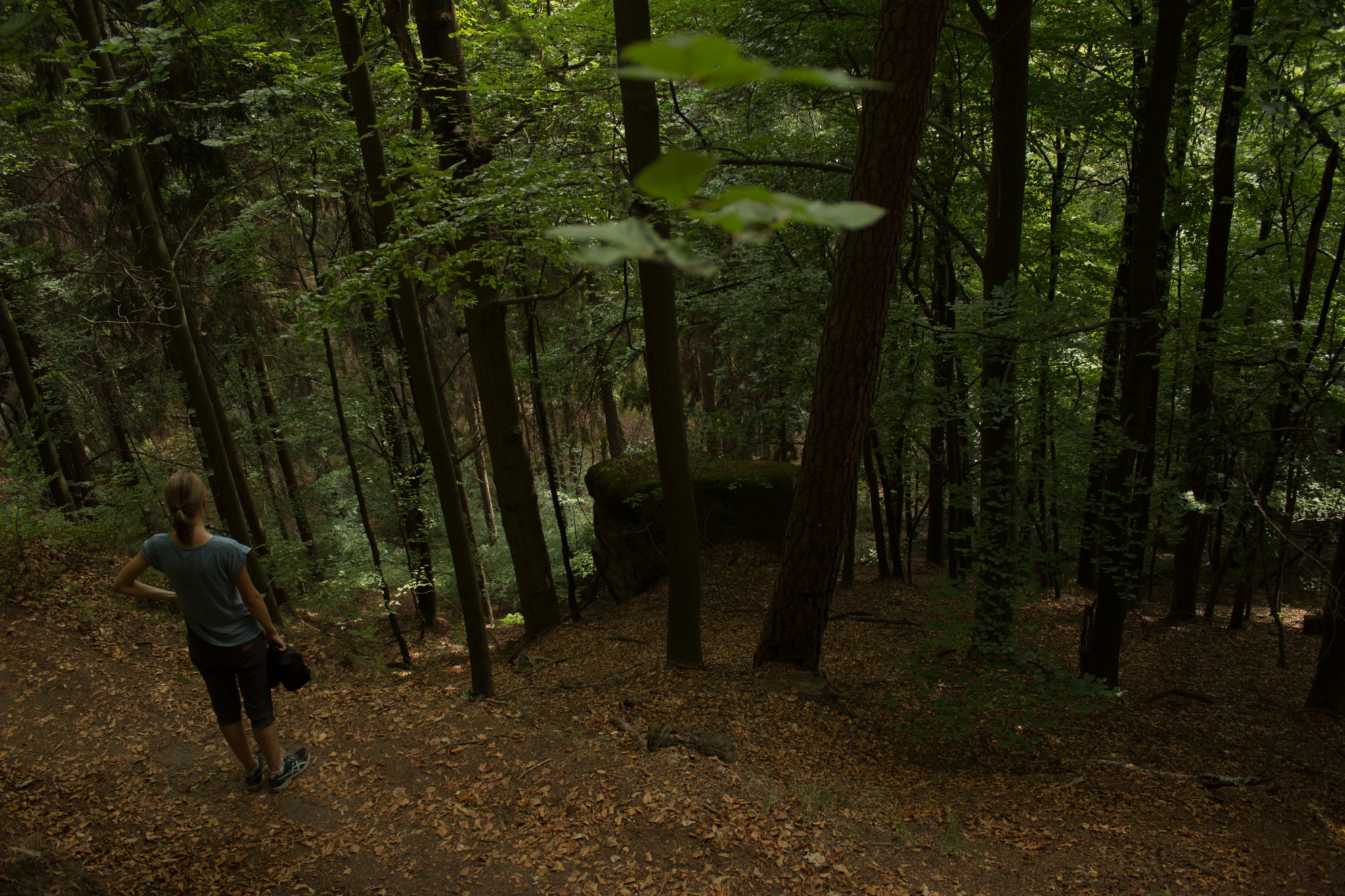 Kirnitzschklamm Hermanseck und Königsplatz im Kirnitzschtal wandern, Wanderweg im Wanderparadies Sächsische Schweiz mit vielen tollen Aussichten, riesiger Felsennationalpark, Aussicht nach unten, viele Höhenmeter zurückgelegt
