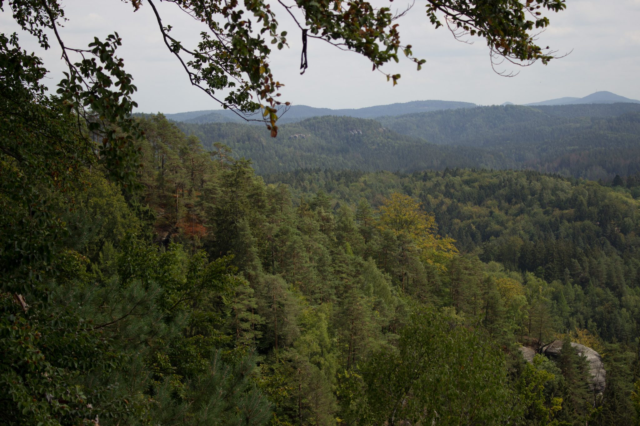 Kirnitzschklamm Hermanseck und Königsplatz im Kirnitzschtal wandern, Wanderweg im Wanderparadies Sächsische Schweiz mit vielen tollen Aussichten, riesiger Felsennationalpark, wunderschöne Aussicht vom Königsplatz auf einen Großteil des Nationalparks
