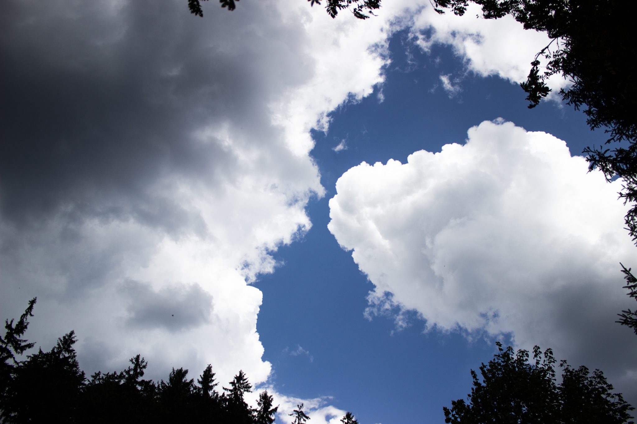 Großer Beerberg Schneekopf und Teufelskanzel, Gipfeltour Wanderung im Thüringer Wald, Wolken am Himmel