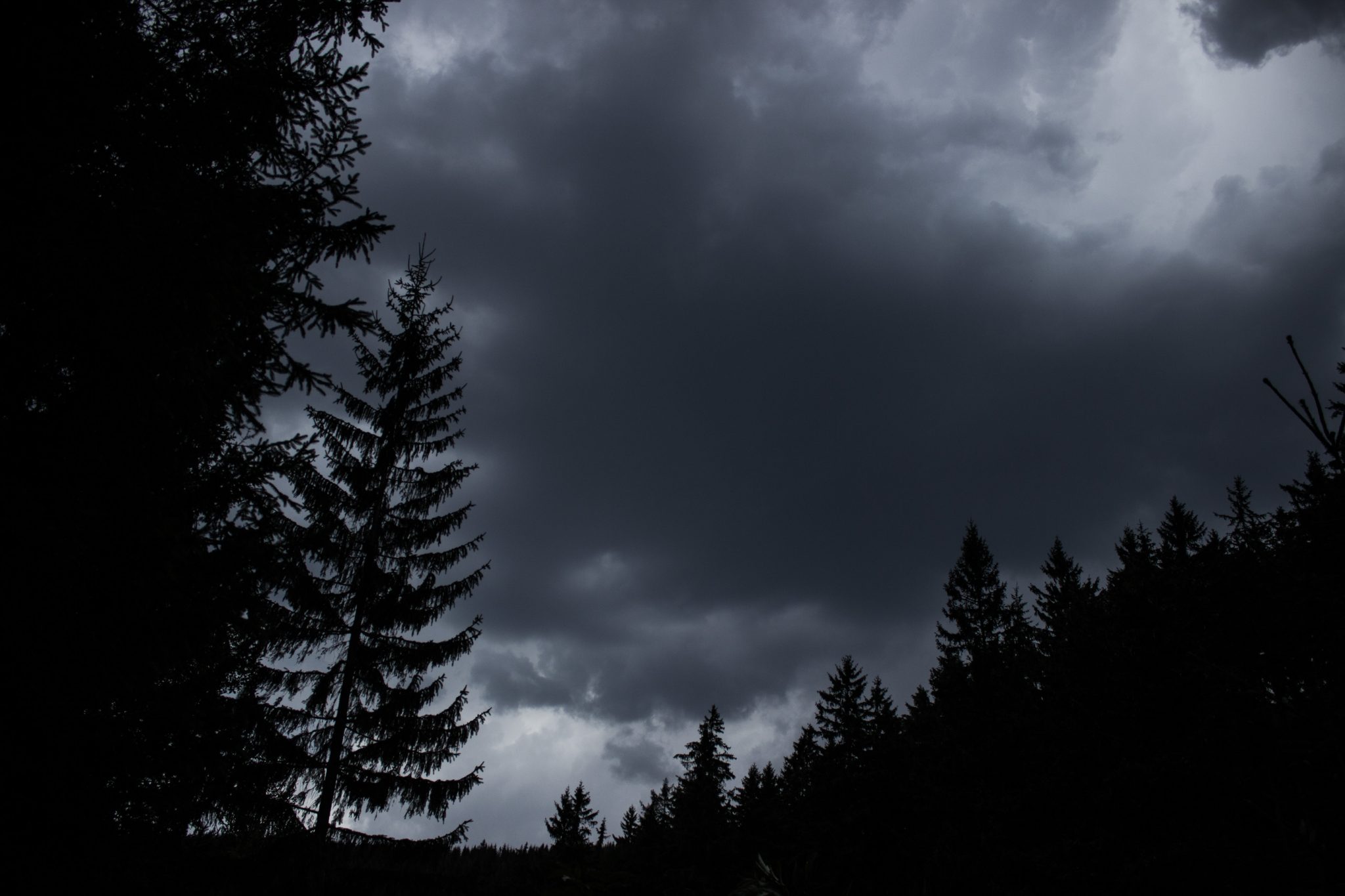 Großer Beerberg Schneekopf und Teufelskanzel, Gipfeltour Wanderung im Thüringer Wald, Unwetter zieht auf