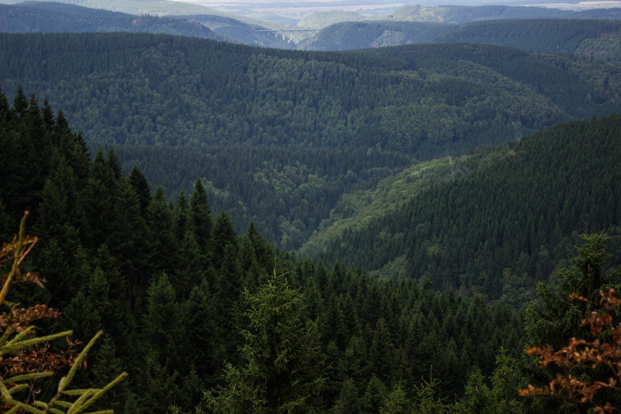 Großer Beerberg Schneekopf und Teufelskanzel, Gipfeltour Wanderung im Thüringer Wald, Aussicht auf Thüringer Wald