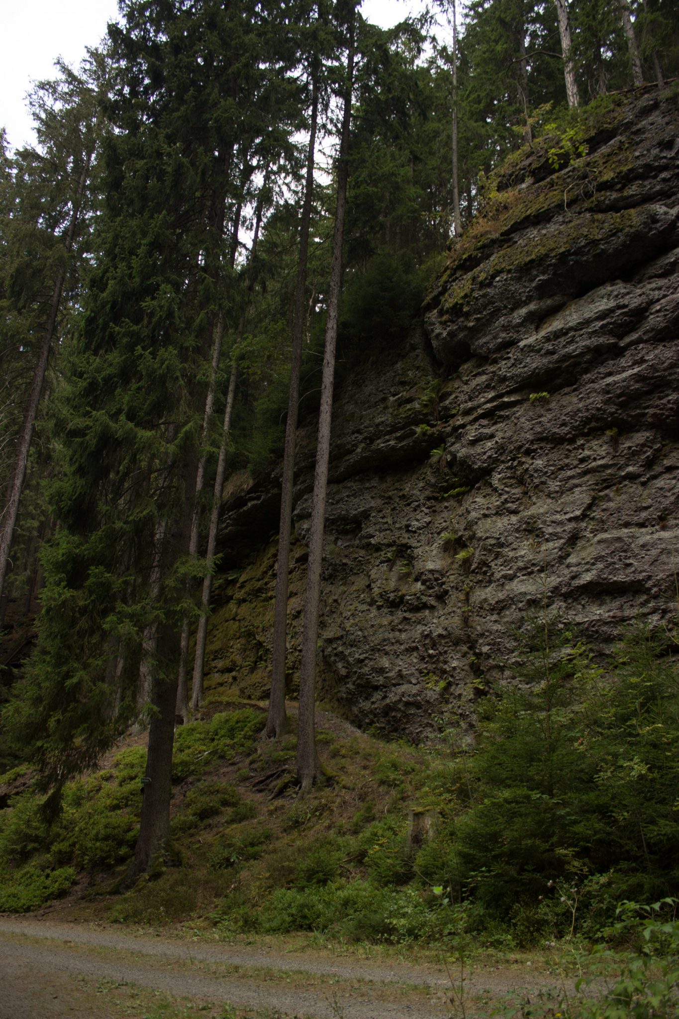 Marderschlucht wandern bei Tambach-Dietharz, schöner Wanderweg durch dichten, grünen Wald entlang Marderbach und Tal, große Felswände, hohe Bäume