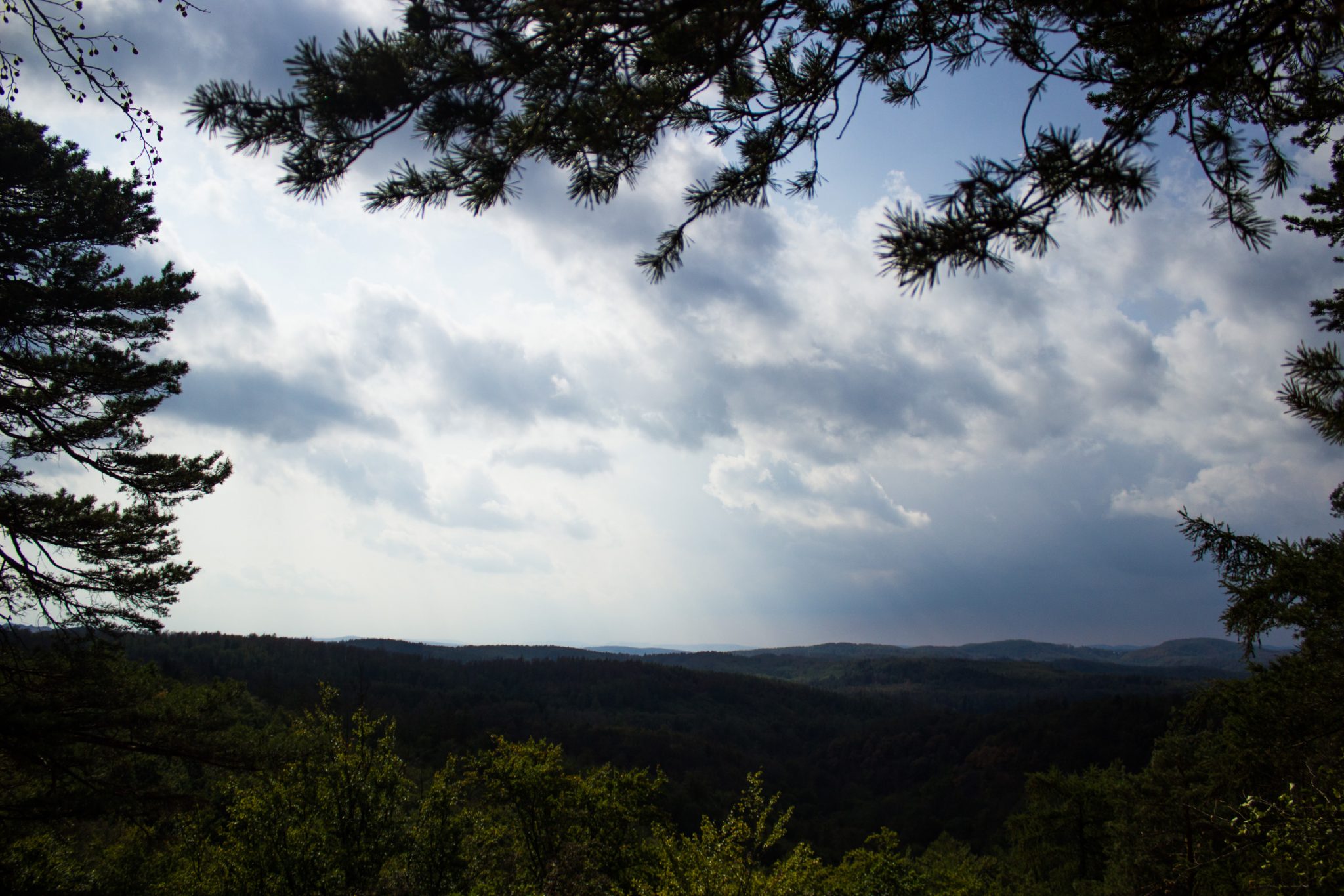 Drachenschlucht und Landgrafenschlucht - Schluchtentour bei Eisenach wandern, schöne weite Aussicht auf Wald