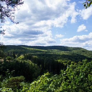 Urwaldsteig von Hemfurth nach Bringhausen zur Jausenstation, Nationalpark Kellerwald Edersee, schöne Aussicht auf Nationalpark, großer Wald, toller Sommertag