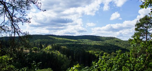 Urwaldsteig von Hemfurth nach Bringhausen zur Jausenstation, Nationalpark Kellerwald Edersee, schöne Aussicht auf Nationalpark, großer Wald, toller Sommertag