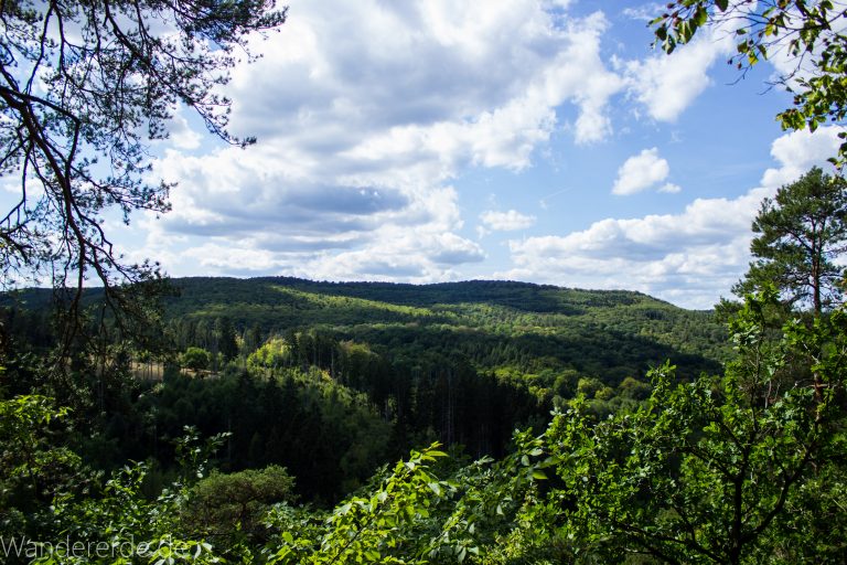 Urwaldsteig von Hemfurth nach Bringhausen zur Jausenstation, Nationalpark Kellerwald Edersee, schöne Aussicht auf Nationalpark, großer Wald, toller Sommertag