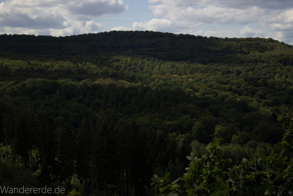 Urwaldsteig von Hemfurth nach Bringhausen zur Jausenstation, Nationalpark Kellerwald Edersee, schöne Aussicht auf Nationalpark, großer Wald, toller Sommertag