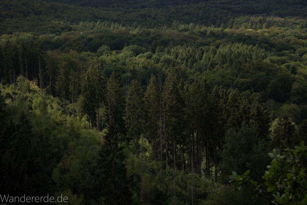 Urwaldsteig von Hemfurth nach Bringhausen zur Jausenstation, Nationalpark Kellerwald Edersee, schöne Aussicht auf Nationalpark, großer Wald, toller Sommertag