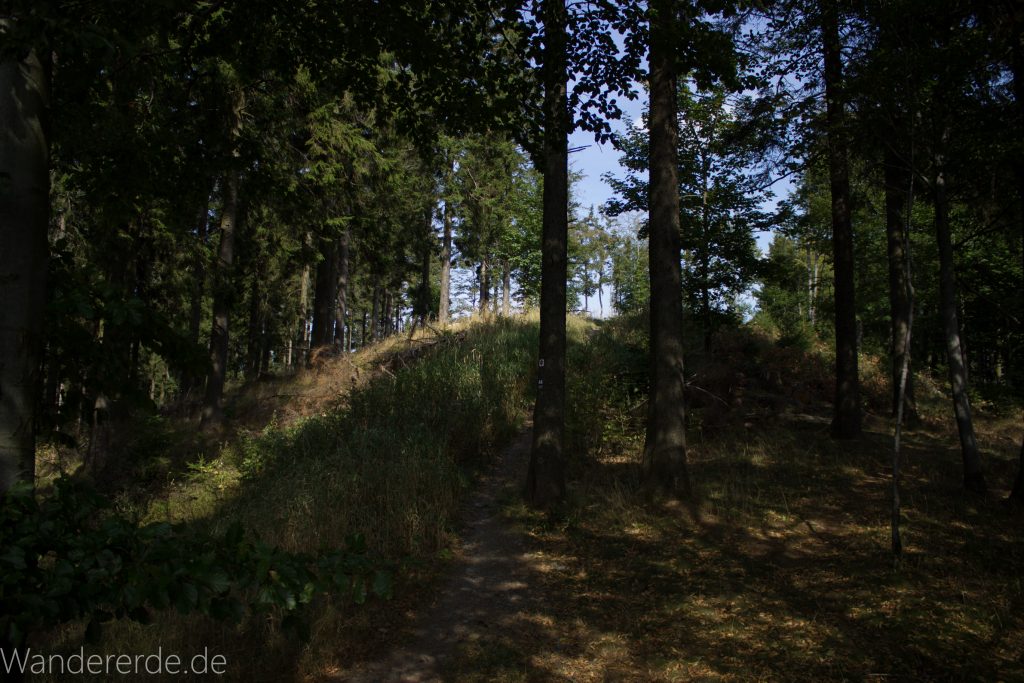 Kahler Asten-Steig, Wanderung auf den Berg Kahler Asten im Sauerland in Nordrhein-Westfalen