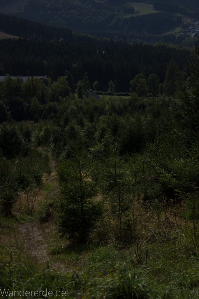 Kahler Asten-Steig, Wanderung auf den Berg Kahler Asten im Sauerland in Nordrhein-Westfalen